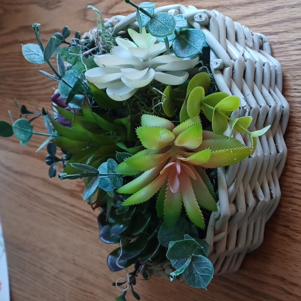 White basket succulent
